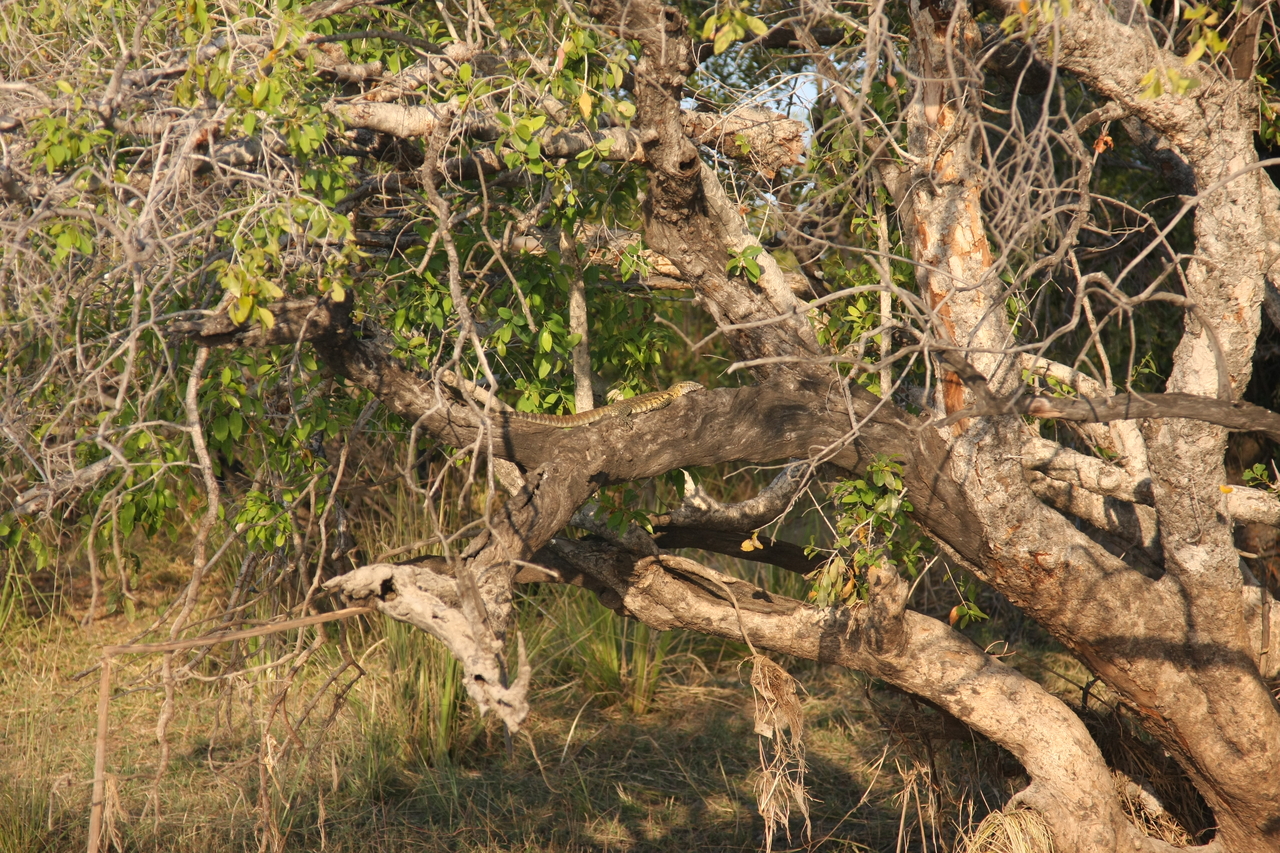 [28462] 2016_07_02_11_03_02_Africa_Canon_EOS_40D_IMG__12127.jpg