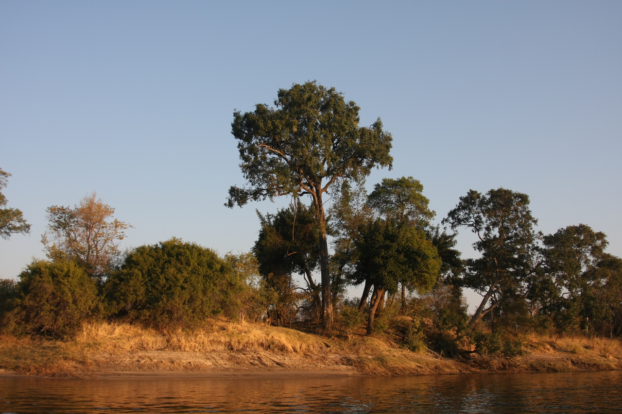 [28472] 2016_07_02_11_14_10_Africa_Canon_EOS_40D_IMG__04682.jpg