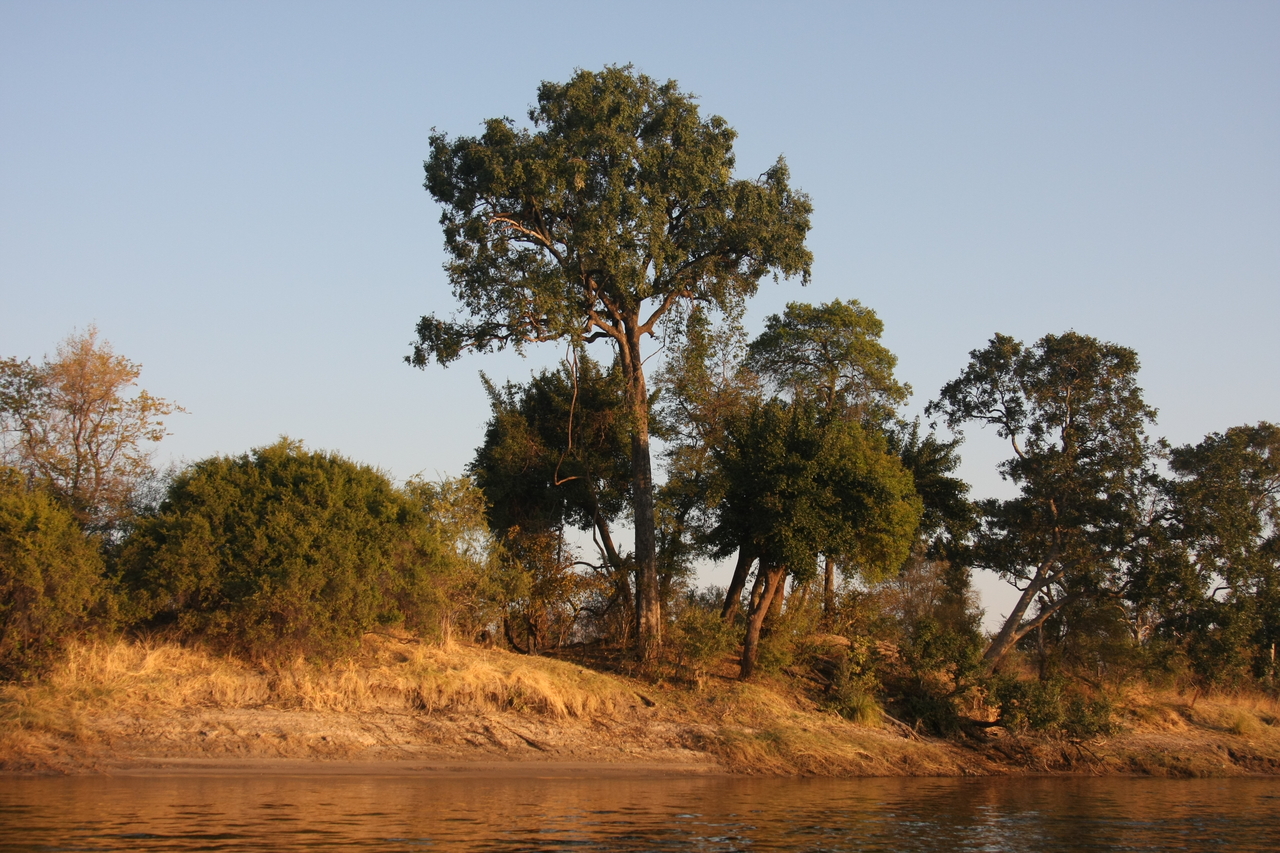 [28479] 2016_07_02_11_14_19_Africa_Canon_EOS_40D_IMG__04685.jpg