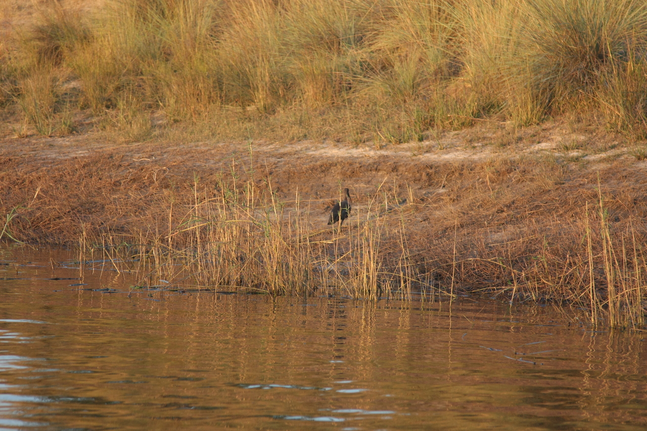 [28522] 2016_07_02_11_28_42_Africa_Canon_EOS_40D_IMG__00159.jpg