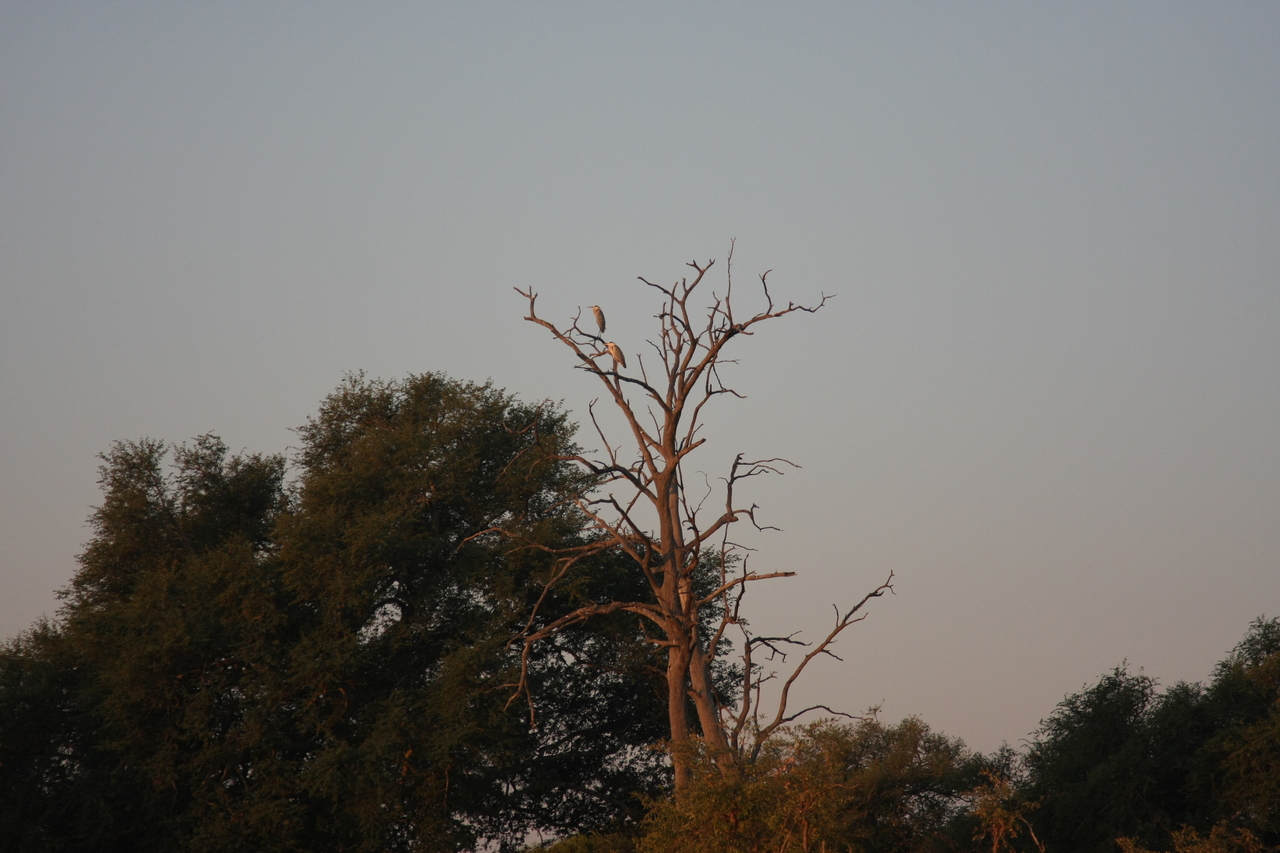 [28553] 2016_07_02_11_30_30_Africa_Canon_EOS_40D_IMG__12158.jpg