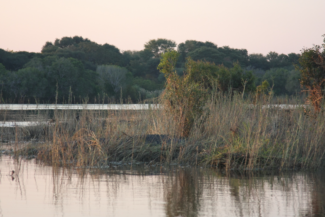 [28577] 2016_07_02_11_34_00_Africa_Canon_EOS_40D_IMG__04719.jpg