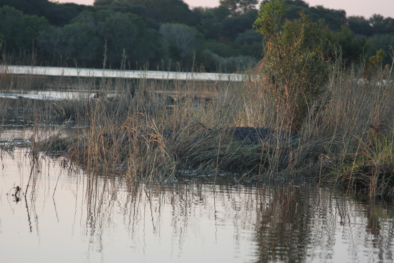 [28592] 2016_07_02_11_34_17_Africa_Canon_EOS_40D_IMG__12172.jpg