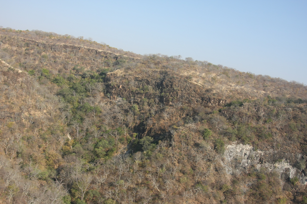 [29459] 2016_07_03_03_00_38_Africa_Canon_EOS_40D_IMG__00046.jpg