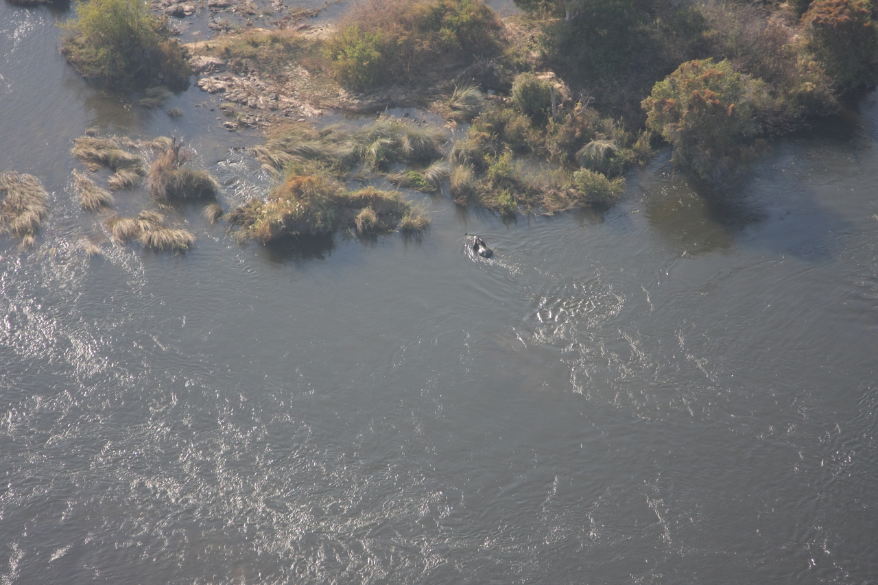 [30195] 2016_07_03_03_11_00_Africa_Canon_EOS_40D_IMG__12594.jpg