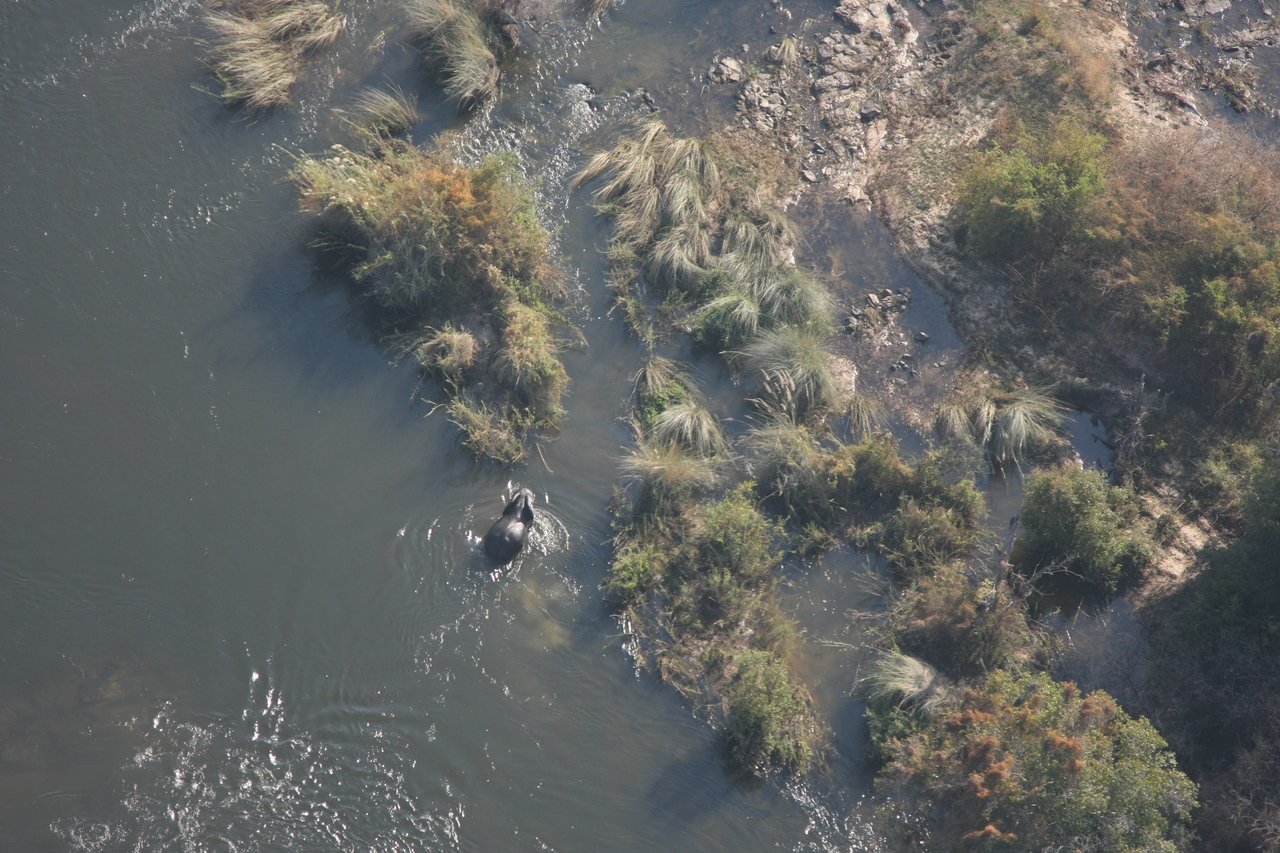 [30198] 2016_07_03_03_11_09_Africa_Canon_EOS_40D_IMG__00320.jpg