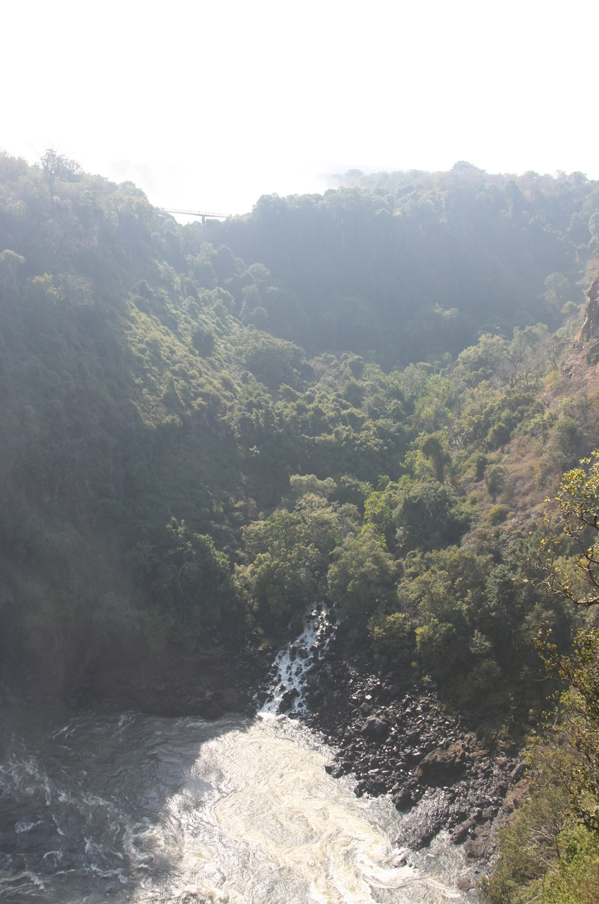 [30454] 2016_07_03_03_53_48_Africa_Canon_EOS_40D_IMG__05236.jpg