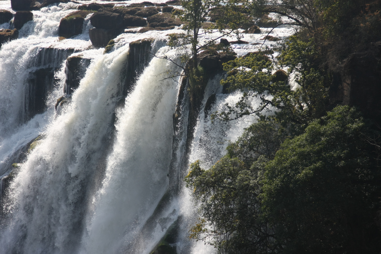[31285] 2016_07_03_08_34_44_Africa_Canon_EOS_40D_IMG__12973.jpg
