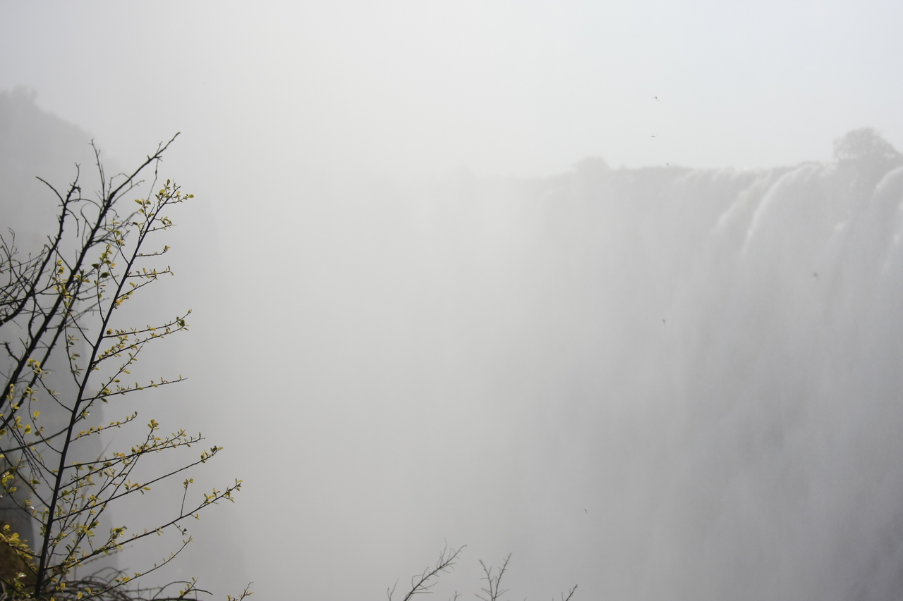 [31405] 2016_07_03_08_42_17_Africa_Canon_EOS_40D_IMG__05542.jpg