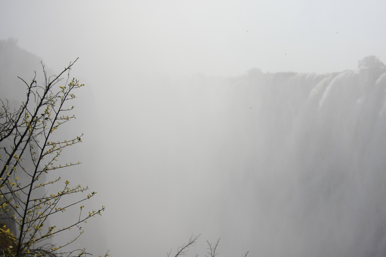 [31409] 2016_07_03_08_42_18_Africa_Canon_EOS_40D_IMG__12991.jpg