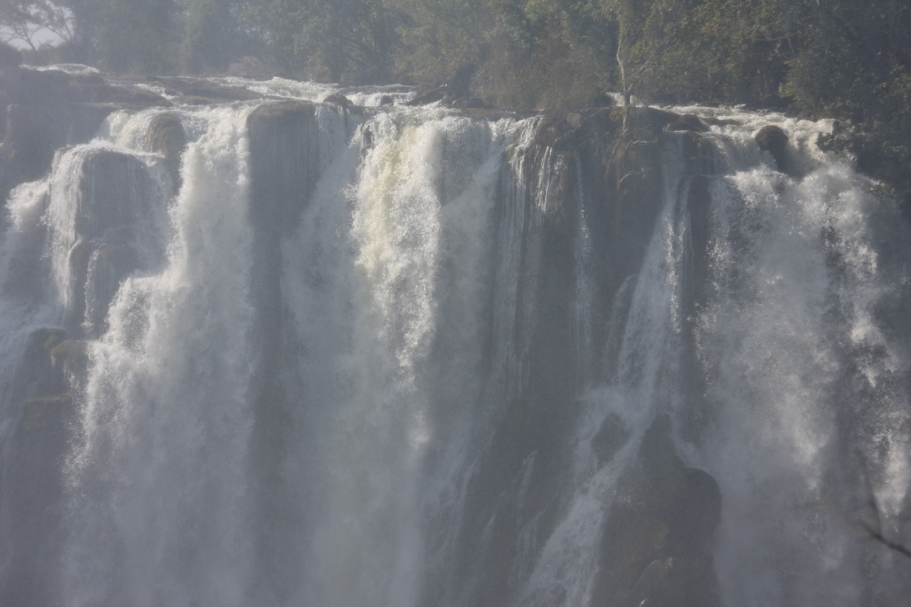 [31451] 2016_07_03_08_44_19_Africa_Canon_EOS_40D_IMG__12995.jpg
