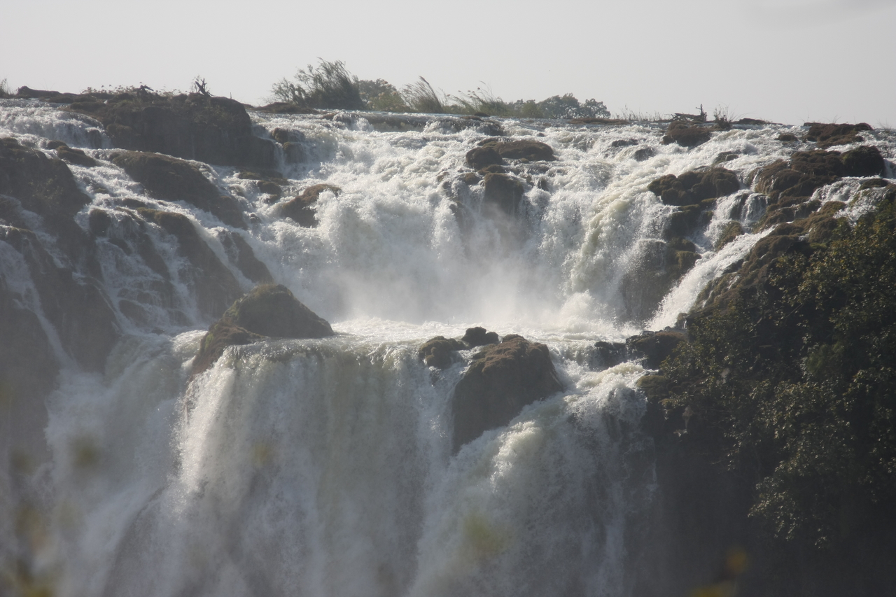 [31725] 2016_07_03_09_12_16_Africa_Canon_EOS_40D_IMG__00750.jpg