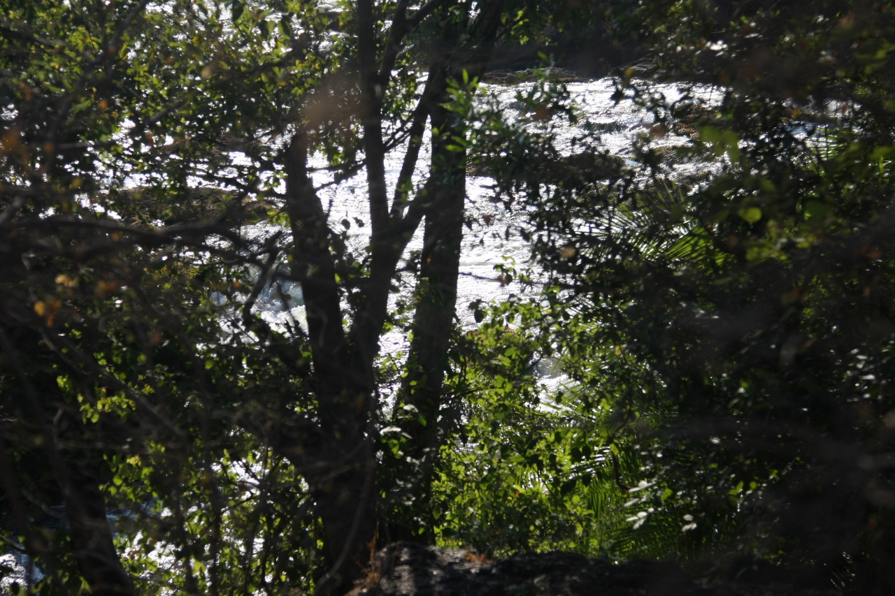 [31846] 2016_07_03_09_46_34_Africa_Canon_EOS_40D_IMG__05602.jpg