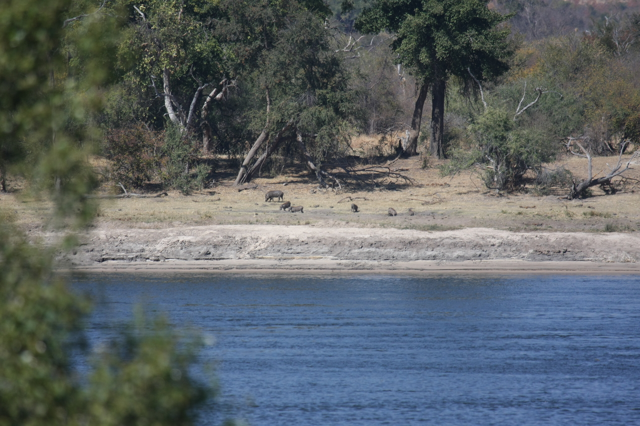 [32842] 2016_07_04_05_57_03_Africa_Canon_EOS_40D_IMG__00394.jpg