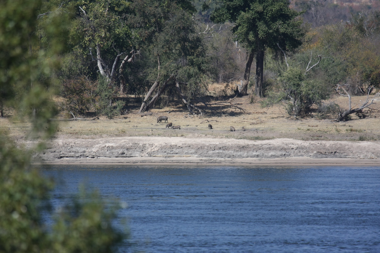 [32843] 2016_07_04_05_57_03_Africa_Canon_EOS_40D_IMG__06018.jpg