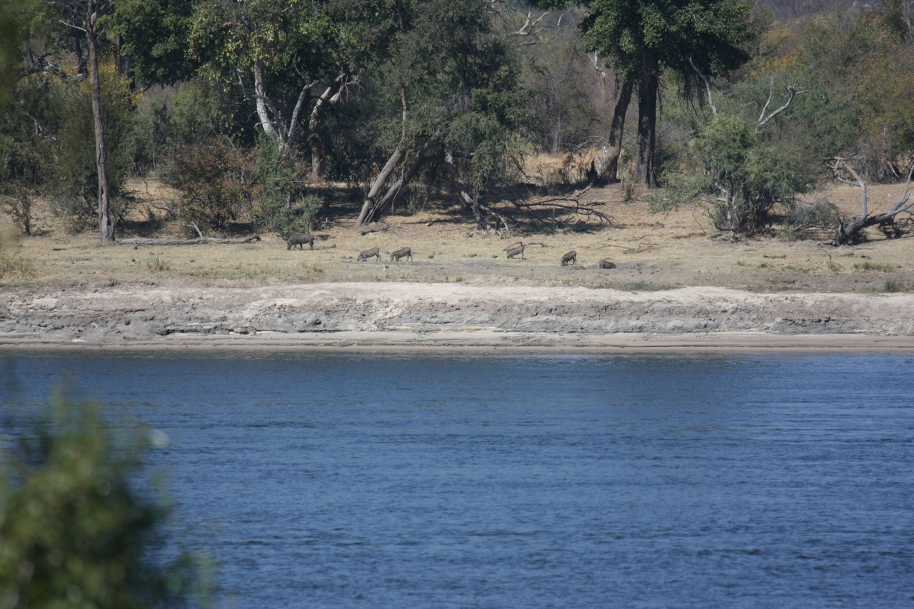 [32851] 2016_07_04_05_57_34_Africa_Canon_EOS_40D_IMG__00416.jpg