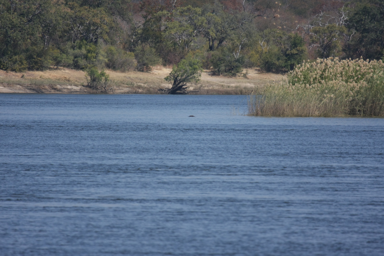 [32906] 2016_07_04_06_27_49_Africa_Canon_EOS_40D_IMG__00191.jpg