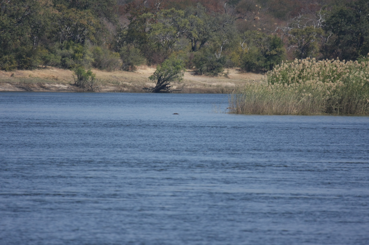 [32913] 2016_07_04_06_27_58_Africa_Canon_EOS_40D_IMG__00225.jpg