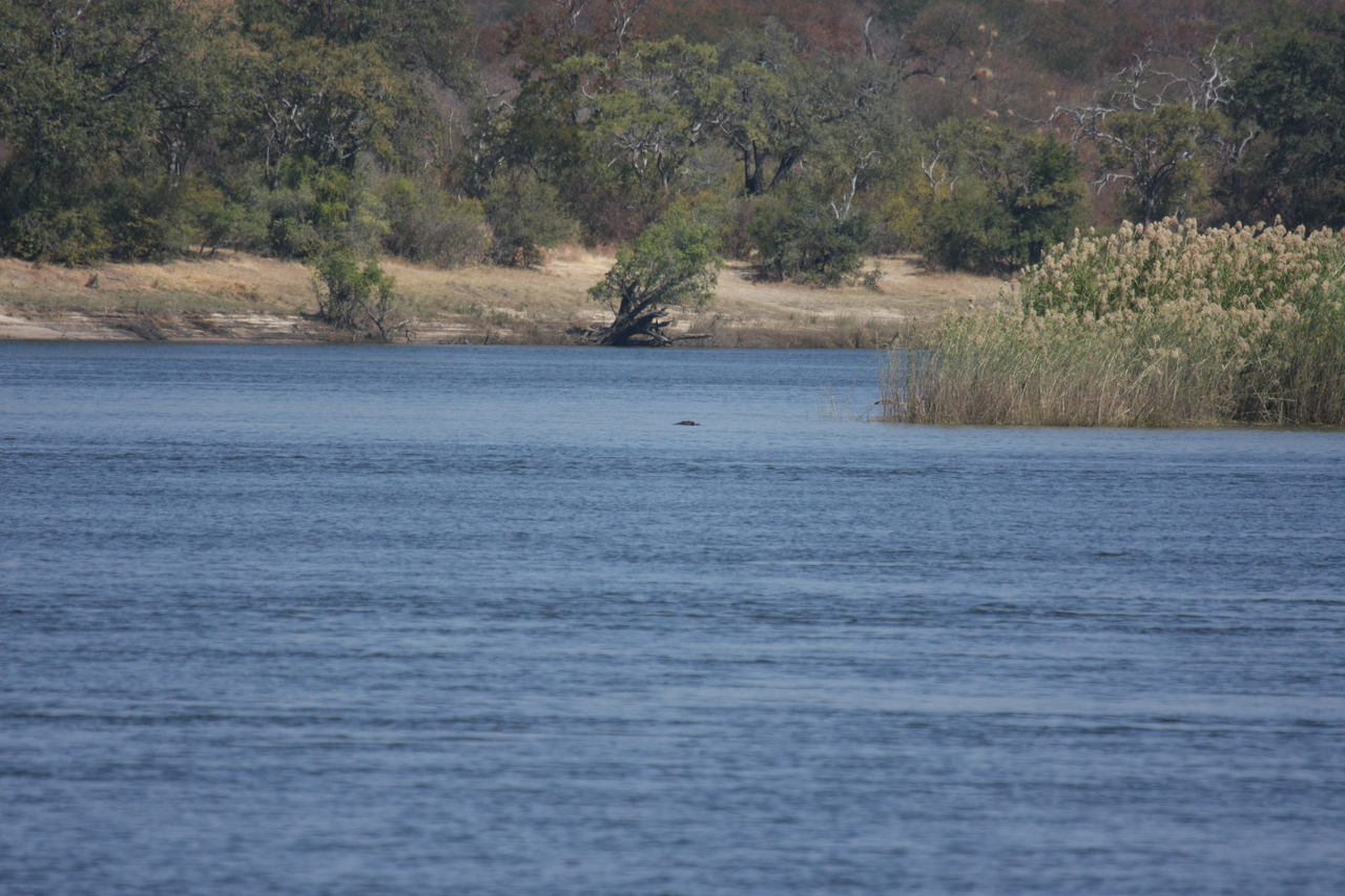 [32916] 2016_07_04_06_27_58_Africa_Canon_EOS_40D_IMG__13295.jpg