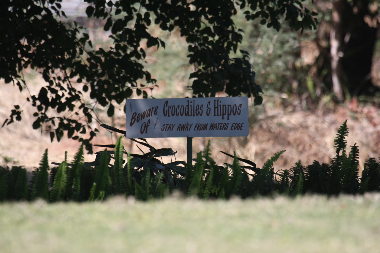 [33127] 2016_07_04_07_58_26_Africa_Canon_EOS_40D_IMG__13494.jpg