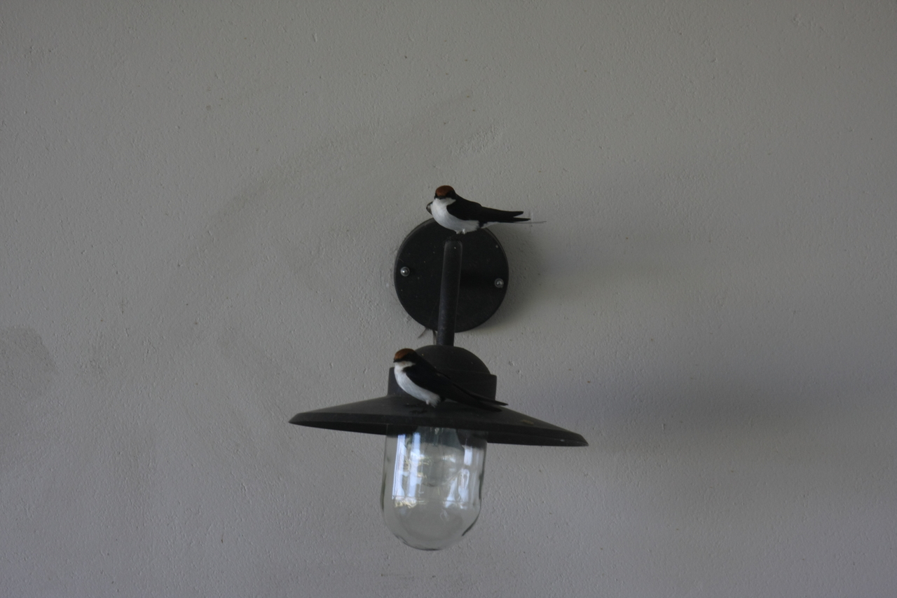 [33234] 2016_07_04_09_10_59_Africa_Canon_EOS_40D_IMG__00021.jpg