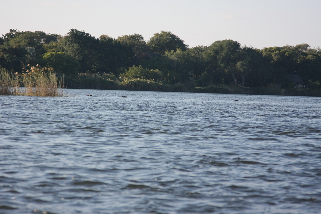 [33304] 2016_07_04_10_29_00_Africa_Canon_EOS_40D_IMG__05667.jpg