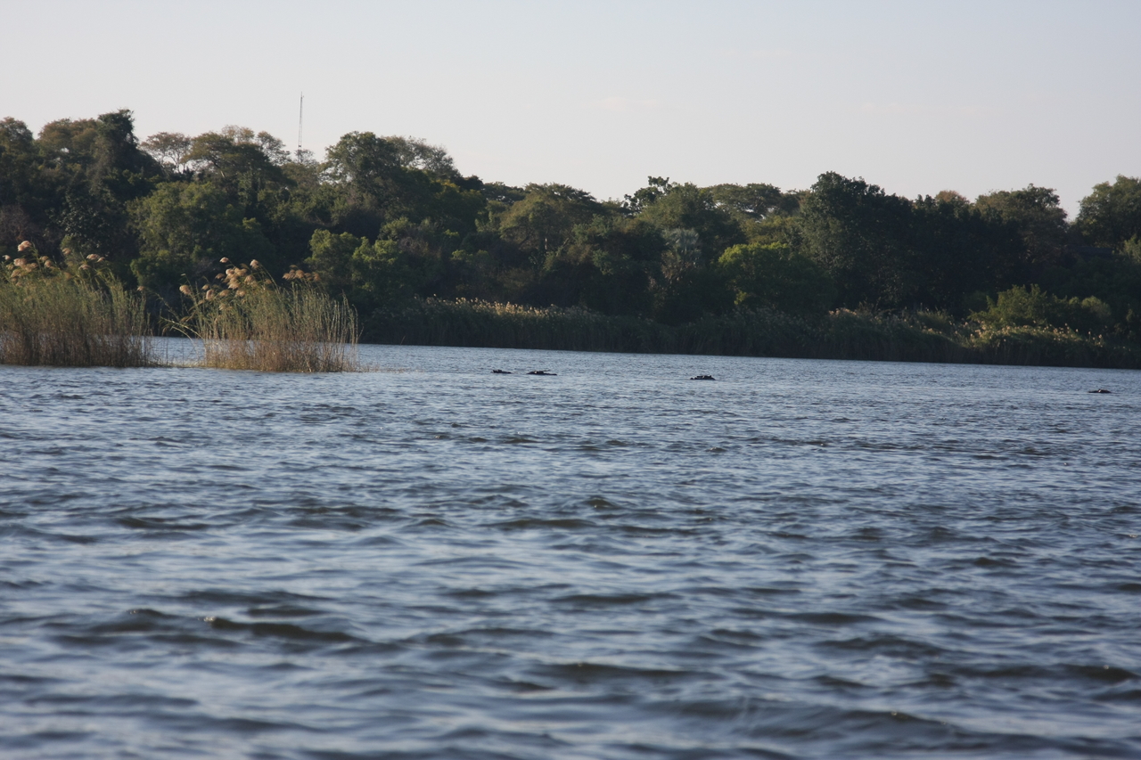[33310] 2016_07_04_10_29_10_Africa_Canon_EOS_40D_IMG__05669.jpg