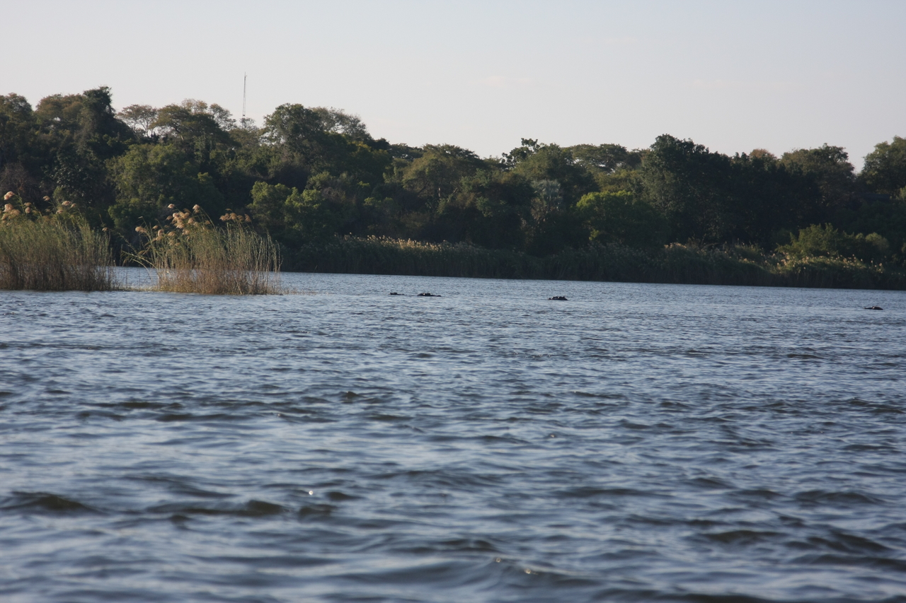 [33311] 2016_07_04_10_29_10_Africa_Canon_EOS_40D_IMG__05670.jpg