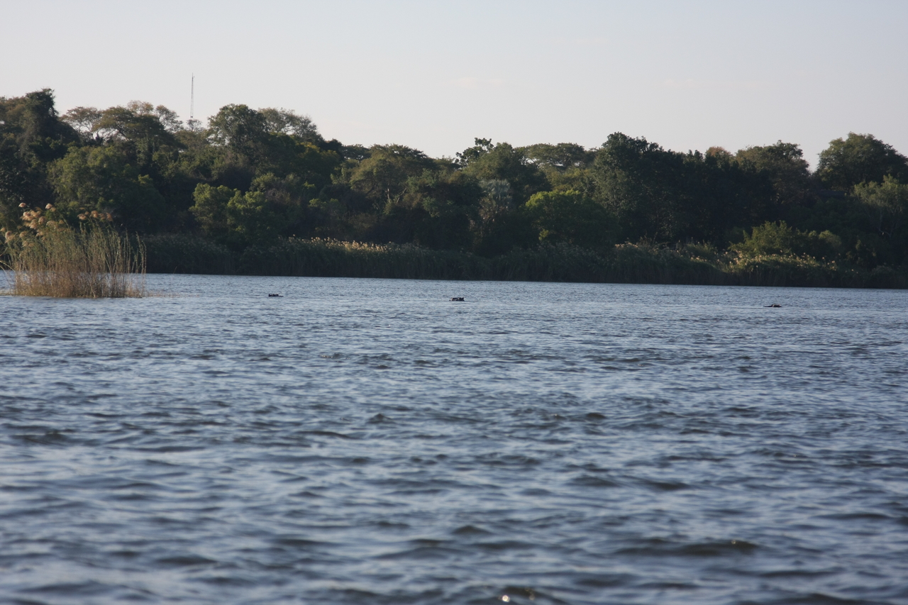 [33321] 2016_07_04_10_29_13_Africa_Canon_EOS_40D_IMG__05674.jpg