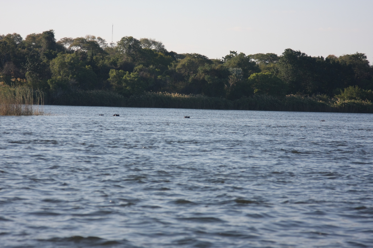[33324] 2016_07_04_10_29_17_Africa_Canon_EOS_40D_IMG__00041.jpg