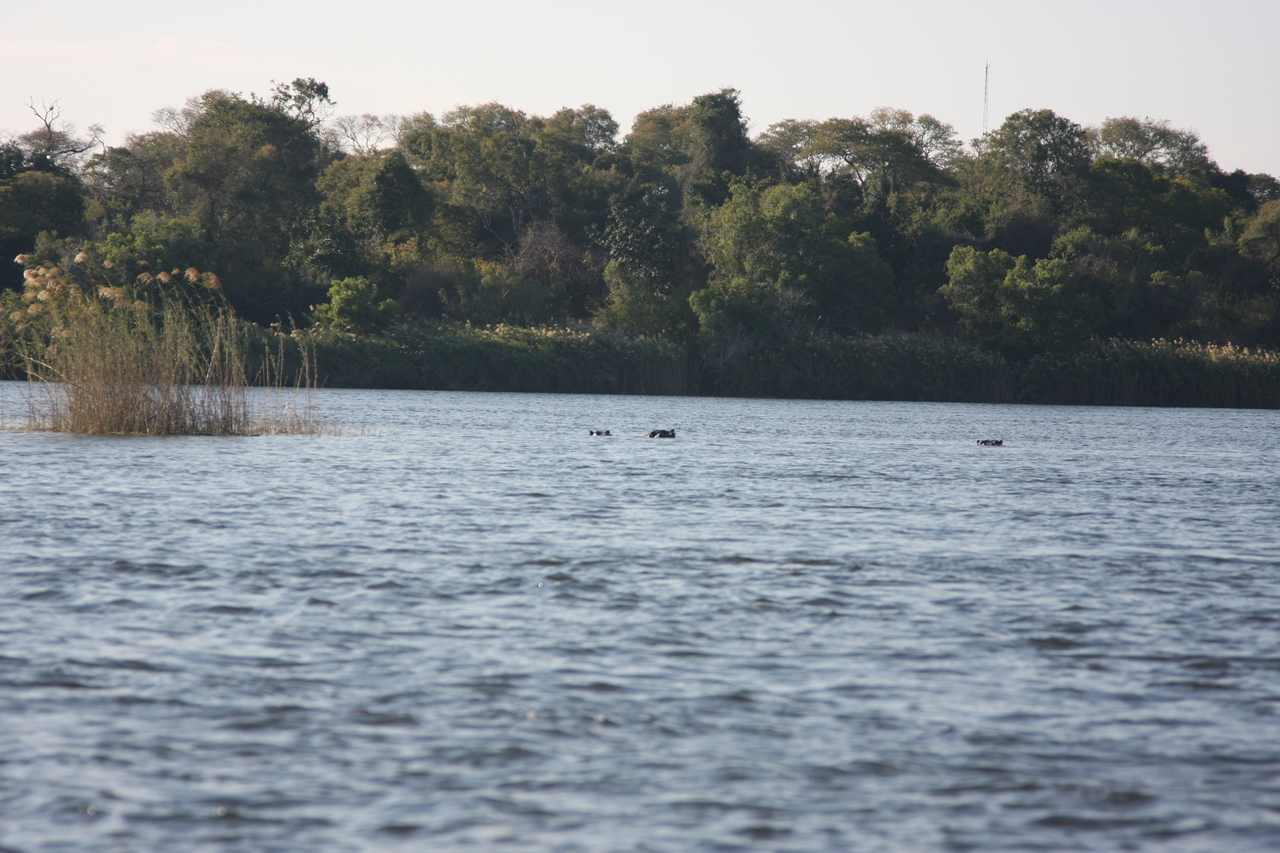 [33332] 2016_07_04_10_29_25_Africa_Canon_EOS_40D_IMG__05678.jpg