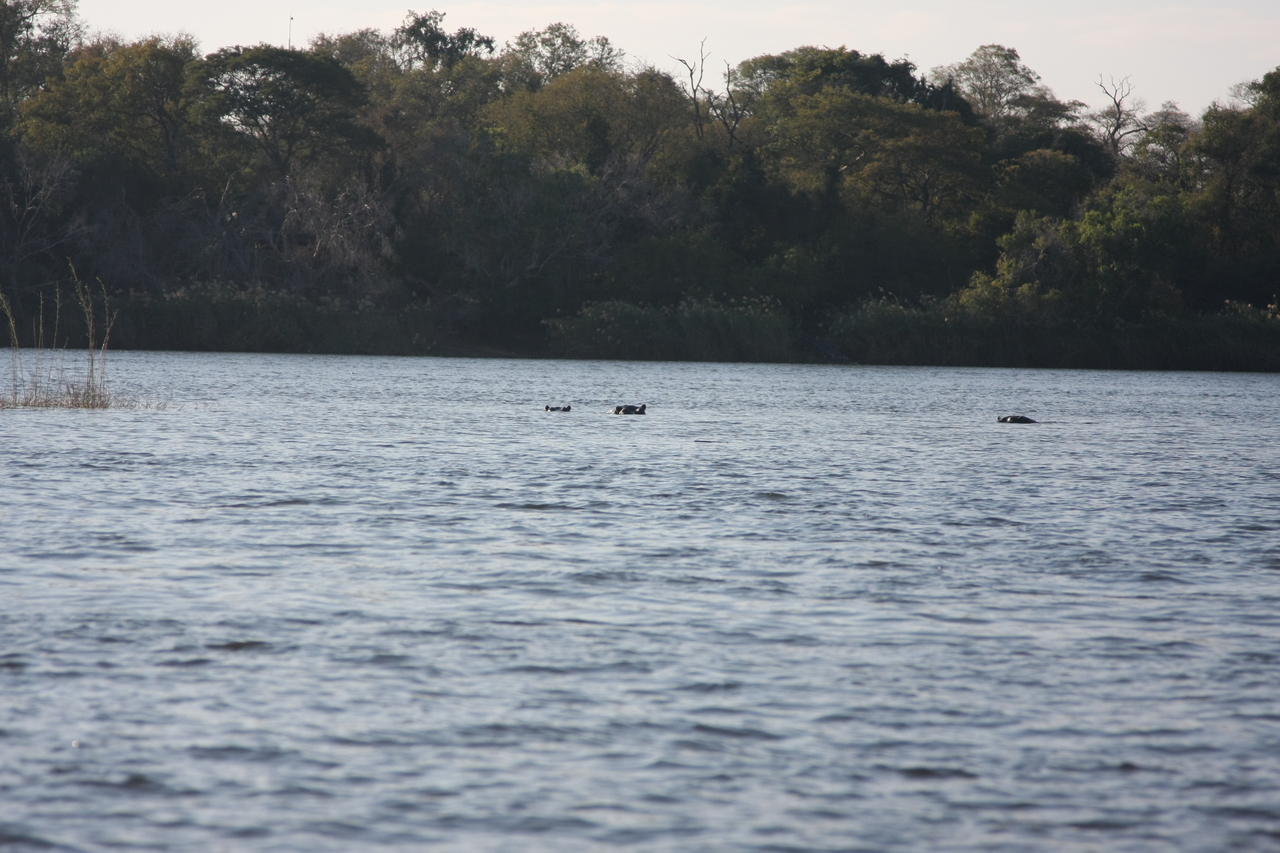 [33340] 2016_07_04_10_29_48_Africa_Canon_EOS_40D_IMG__13127.jpg