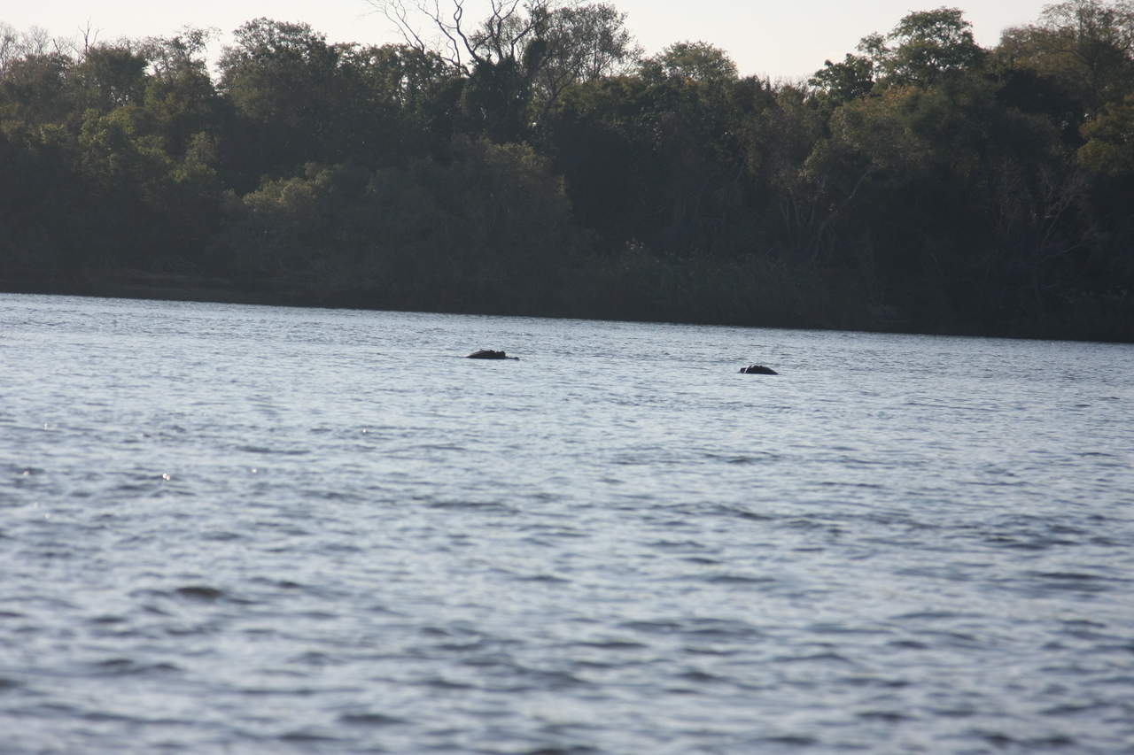 [33346] 2016_07_04_10_30_25_Africa_Canon_EOS_40D_IMG__05684.jpg