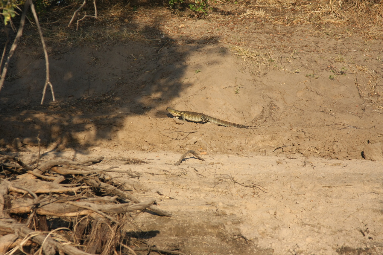 [33358] 2016_07_04_11_07_58_Africa_Canon_EOS_40D_IMG__00054.jpg