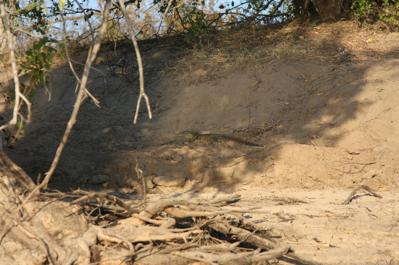 [33381] 2016_07_04_11_09_27_Africa_Canon_EOS_40D_IMG__05696.jpg