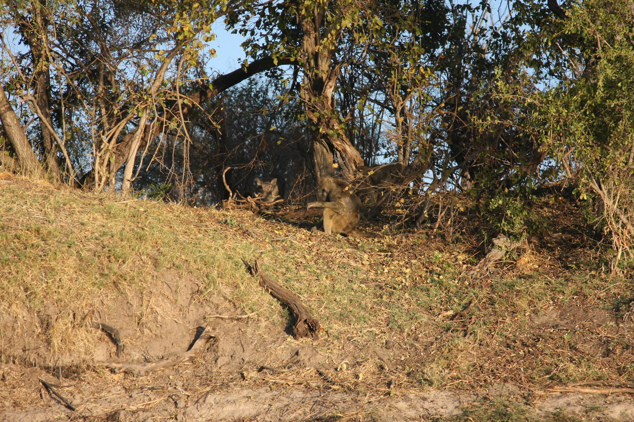 [33419] 2016_07_04_11_14_28_Africa_Canon_EOS_40D_IMG__00075.jpg