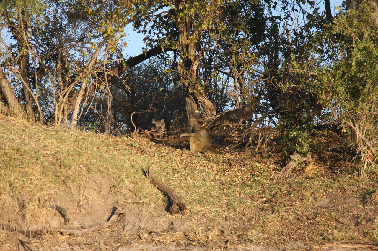 [33421] 2016_07_04_11_14_28_Africa_Canon_EOS_40D_IMG__00077.jpg