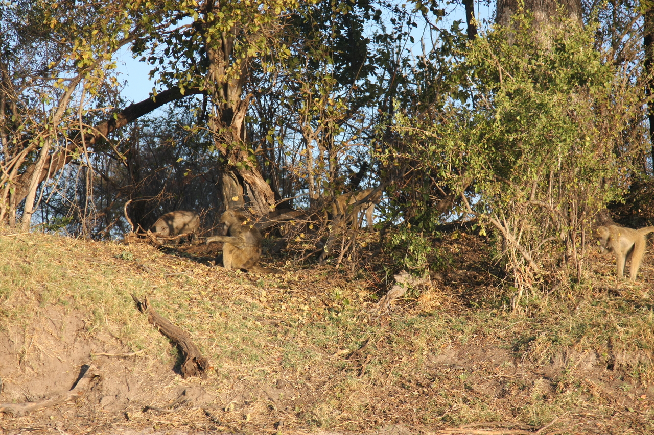 [33428] 2016_07_04_11_14_30_Africa_Canon_EOS_40D_IMG__00078.jpg