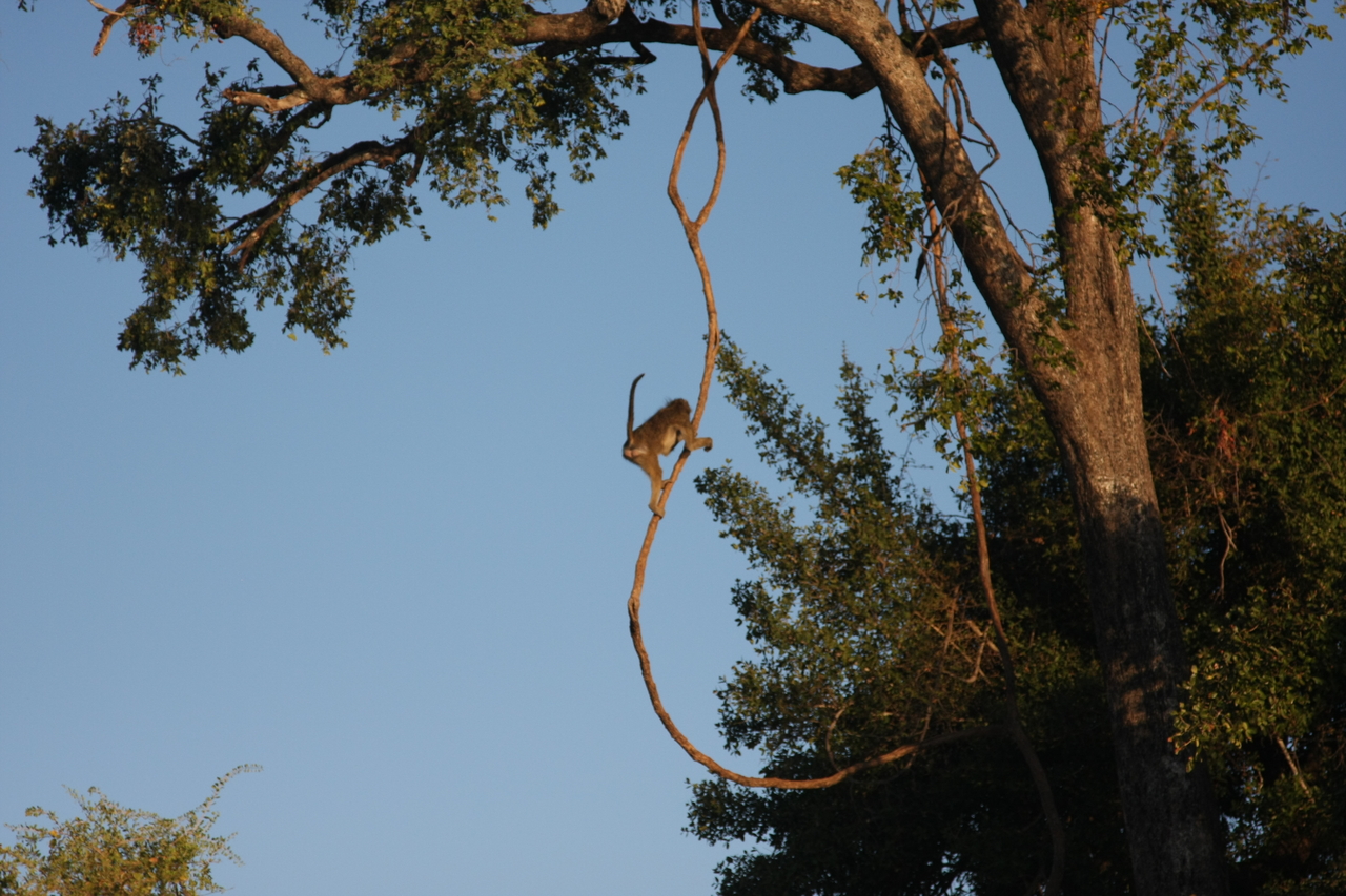 [33555] 2016_07_04_11_16_12_Africa_Canon_EOS_40D_IMG__13206.jpg