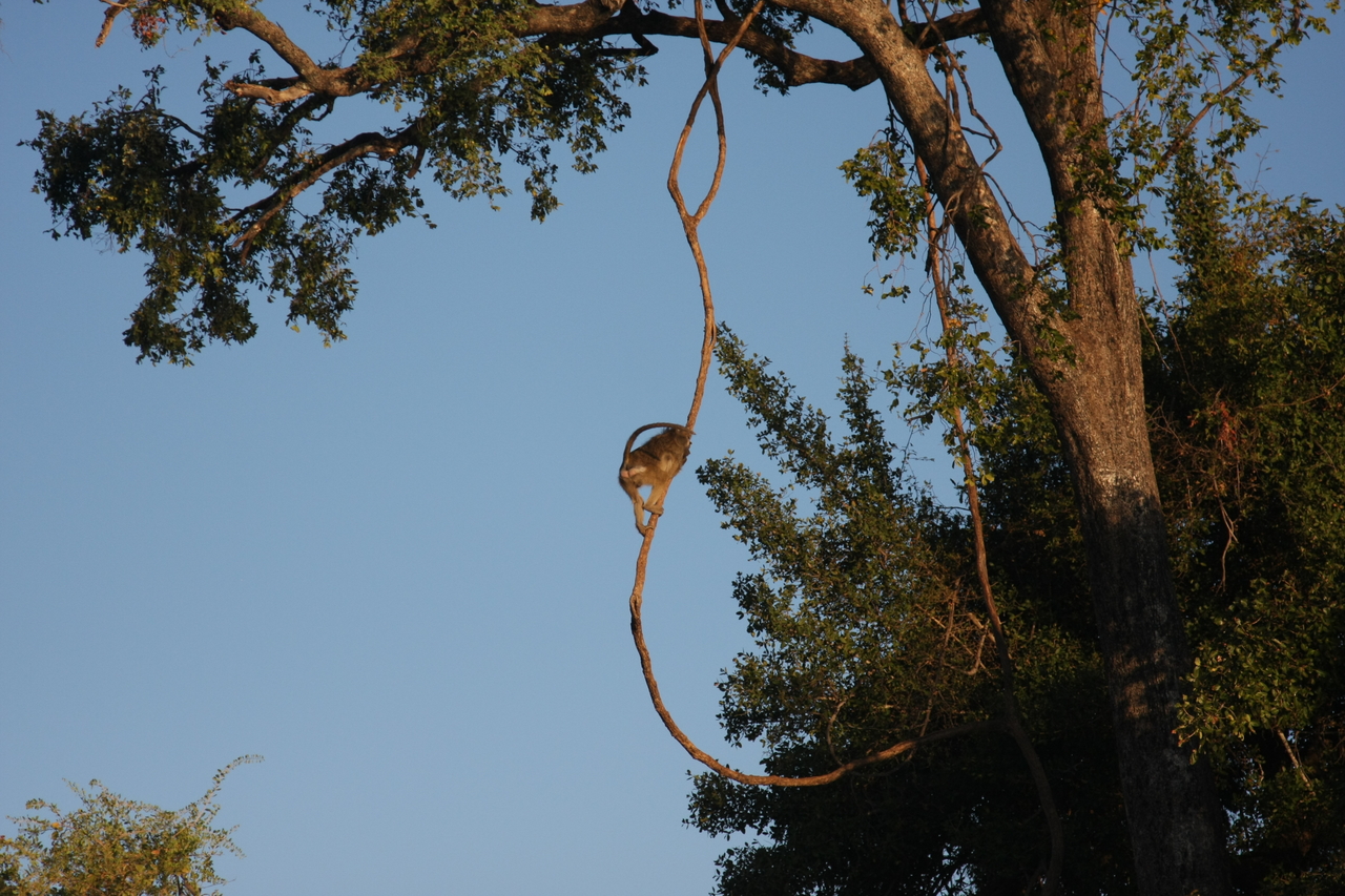 [33556] 2016_07_04_11_16_12_Africa_Canon_EOS_40D_IMG__13208.jpg
