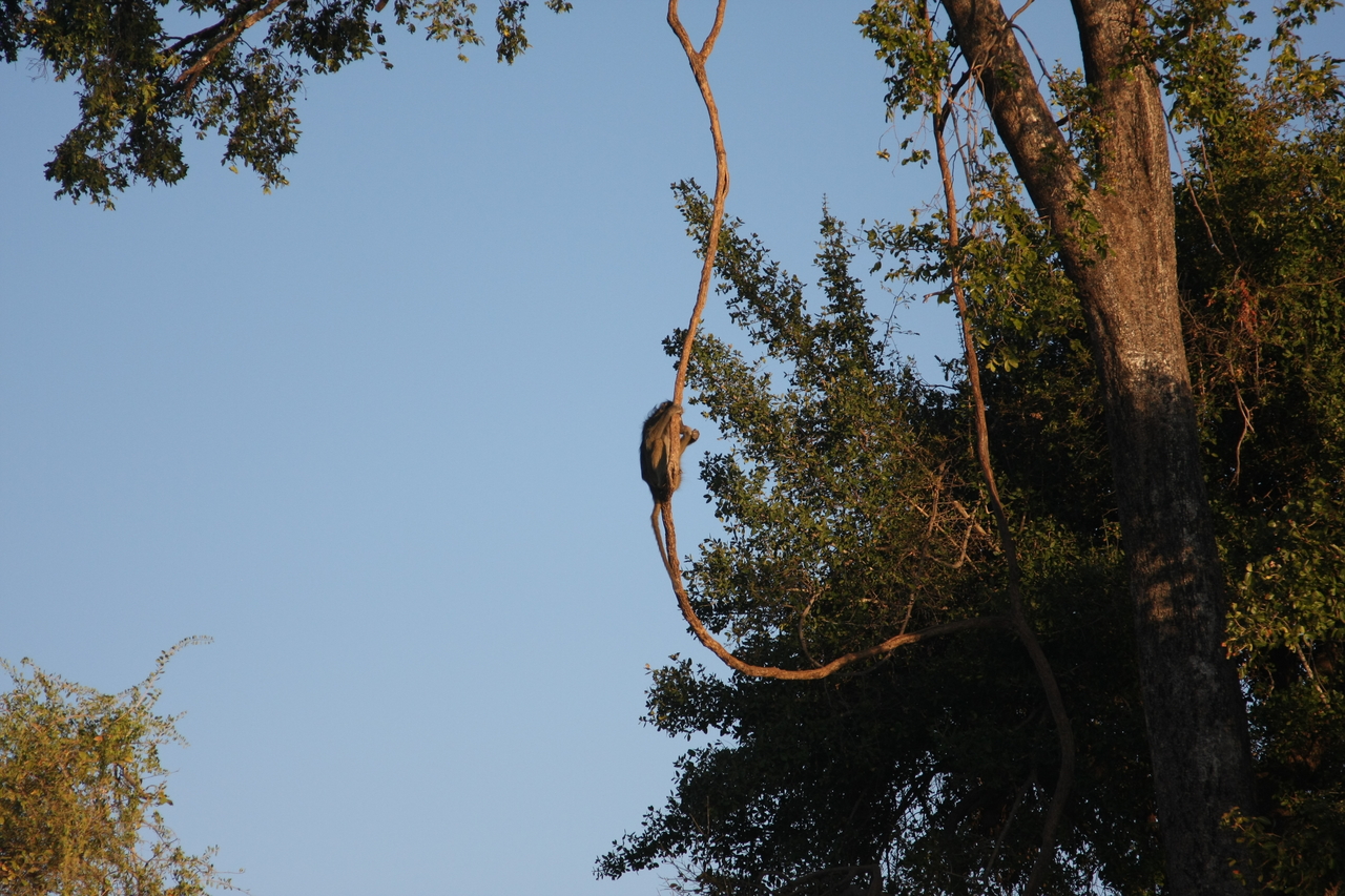 [33575] 2016_07_04_11_16_20_Africa_Canon_EOS_40D_IMG__00133.jpg