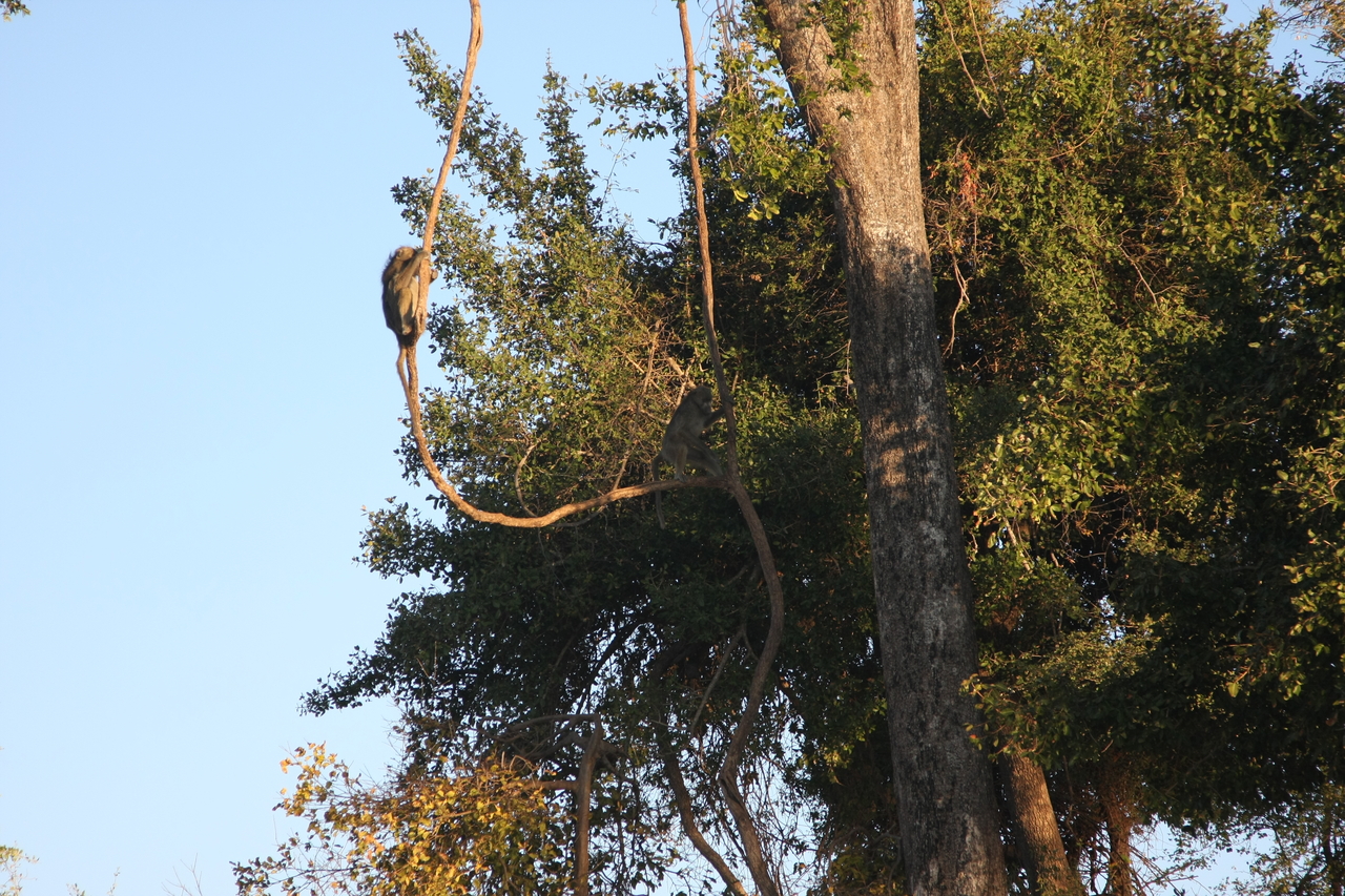 [33605] 2016_07_04_11_16_27_Africa_Canon_EOS_40D_IMG__00144.jpg
