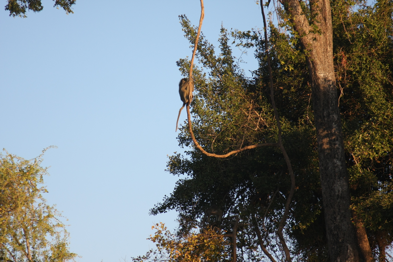 [33609] 2016_07_04_11_16_32_Africa_Canon_EOS_40D_IMG__00146.jpg