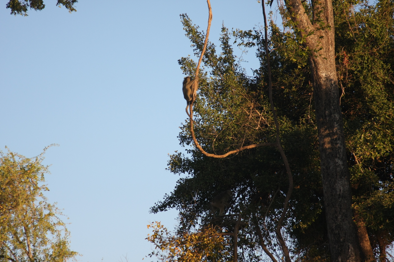 [33610] 2016_07_04_11_16_32_Africa_Canon_EOS_40D_IMG__00148.jpg