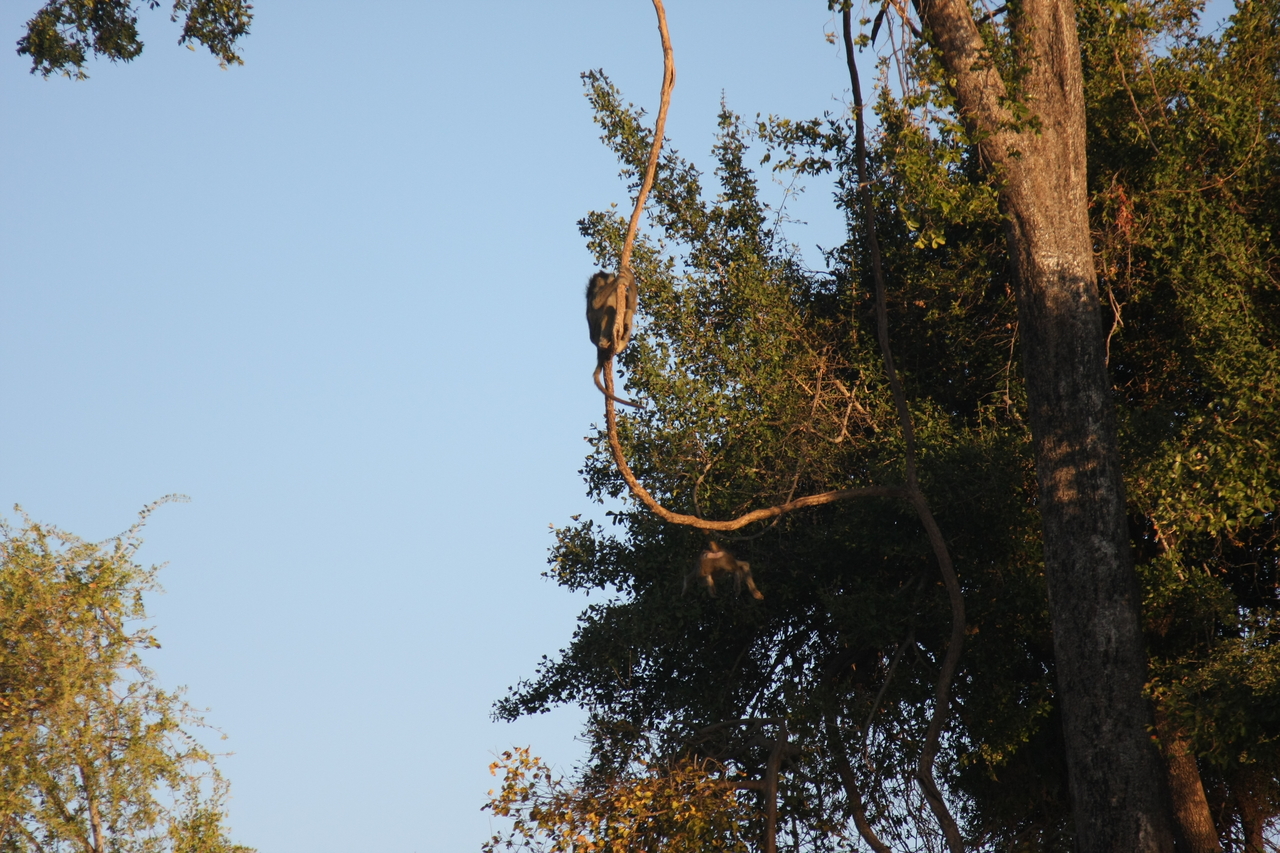 [33614] 2016_07_04_11_16_32_Africa_Canon_EOS_40D_IMG__13227.jpg