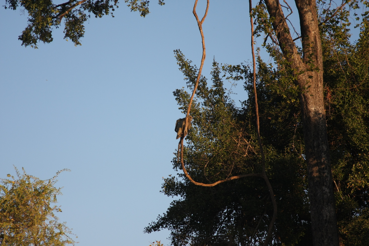 [33623] 2016_07_04_11_16_38_Africa_Canon_EOS_40D_IMG__00151.jpg