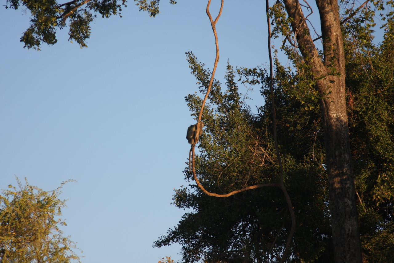 [33624] 2016_07_04_11_16_38_Africa_Canon_EOS_40D_IMG__00152.jpg