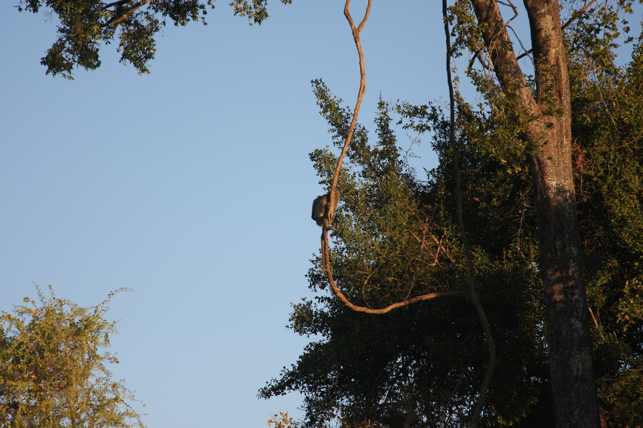 [33638] 2016_07_04_11_16_39_Africa_Canon_EOS_40D_IMG__13236.jpg