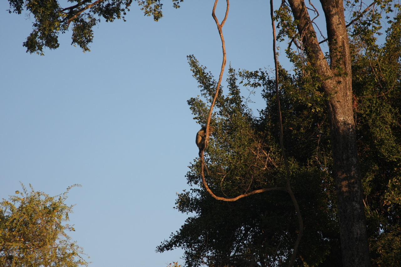 [33651] 2016_07_04_11_16_42_Africa_Canon_EOS_40D_IMG__05796.jpg