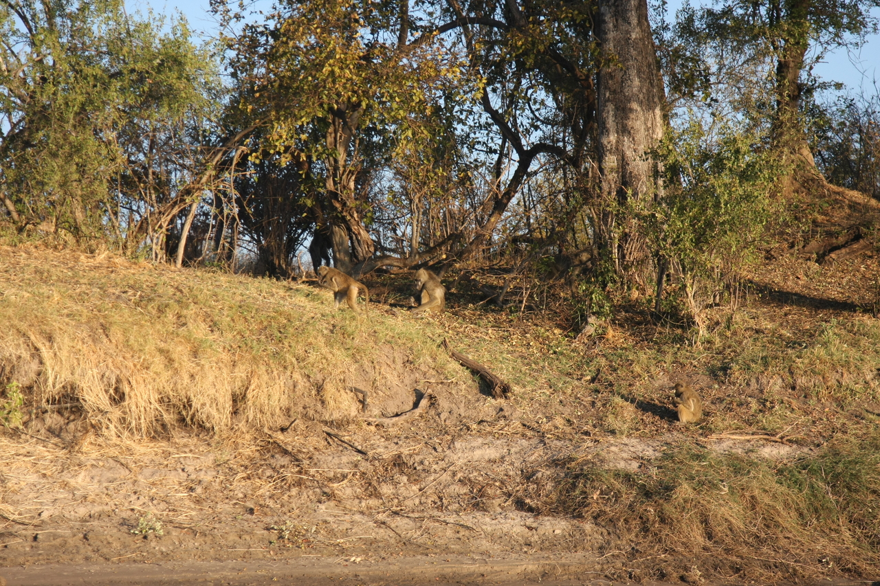 [33674] 2016_07_04_11_16_58_Africa_Canon_EOS_40D_IMG__05803.jpg